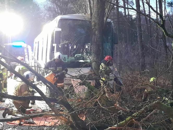 Szkolny autobus uderzył w drzewo