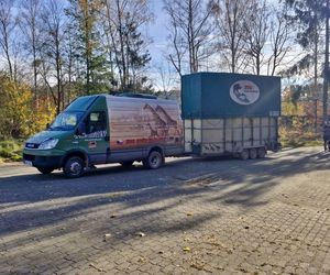 Nowa żyrafa w gdańskim ZOO