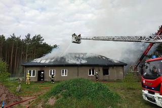 Pożar stolarni pod Nasielskiem