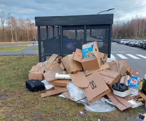 Kontenery na osiedlu Nowy Nikiszowiec w czasie zasiedlania