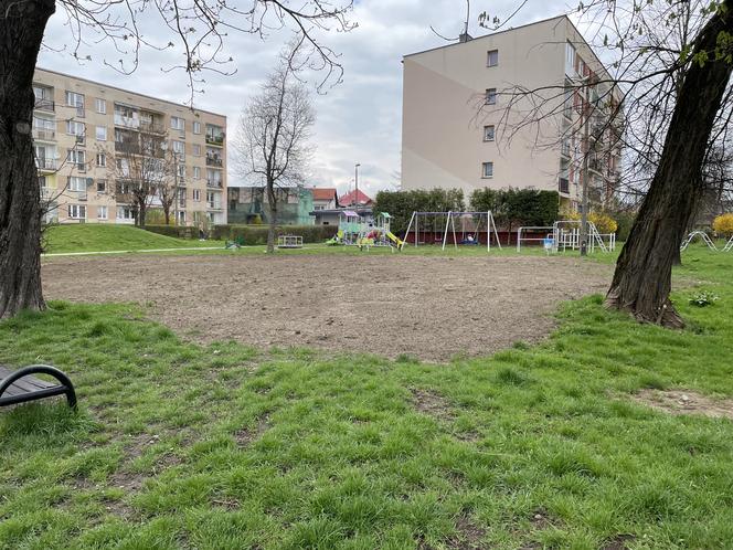 Park przy ul. Kraszewskiego w Nowym Sączu