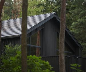 Dom w stylu nadwiślańskiej architektur