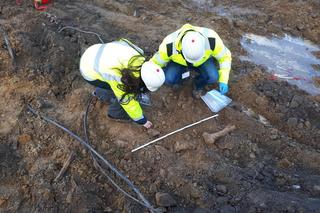 Kości znalezione na budowie stacji metra 