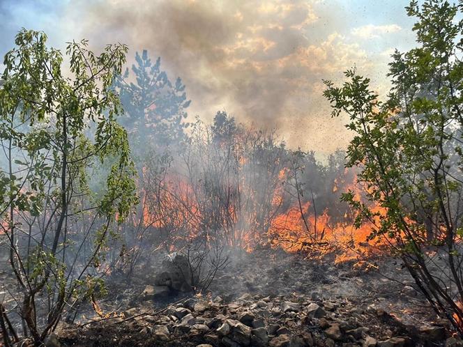 Pożary w Chorwacji zagrażają turystom