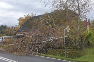 Potężna nawałnica przeszła przez Bydgoszcz i region! [ZDJĘCIA]