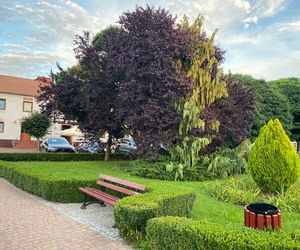 Uniejów