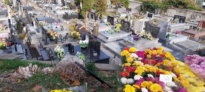 Przygotowania do Wszystkich Świętych Zamość