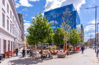 Ulica Bracka w Warszawie porosła drzewami. Zobacz zieloną przemianę w centrum