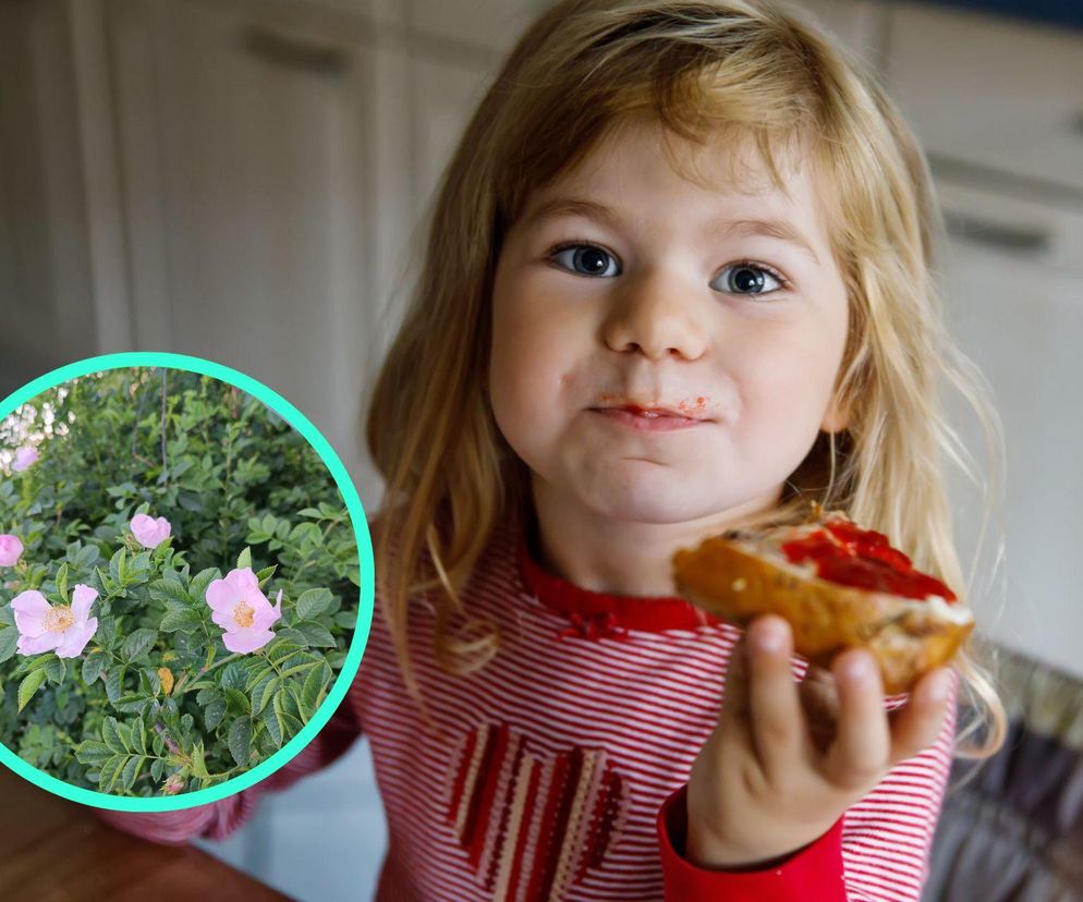 Łagodzi biegunki, pomaga w leczeniu stawów i wzmacnia odporność. Babcia karmiła nas nią codziennie