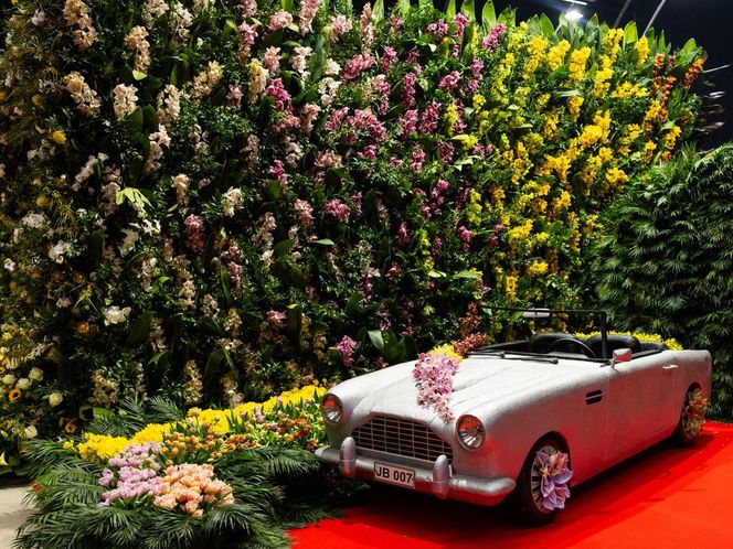 World Flower Show