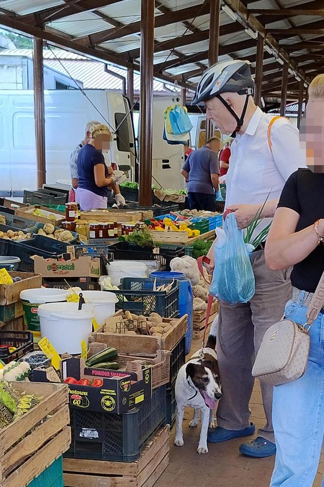 Korwin-Mikke na zakupach