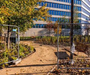 Park linearny na Służewcu w Warszawie pod koniec budowy