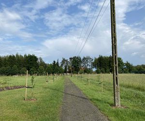 Wyjątkowe miejsce w Wólce Konopnej. Farma toMy dla osób z niepełnosprawnością