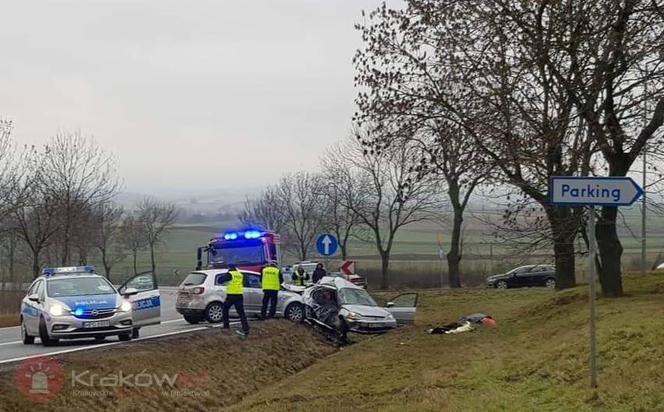 Książ Wielki. Tragiczny wypadek na DK-7. Nie żyją dwie osoby [ZDJĘCIA]