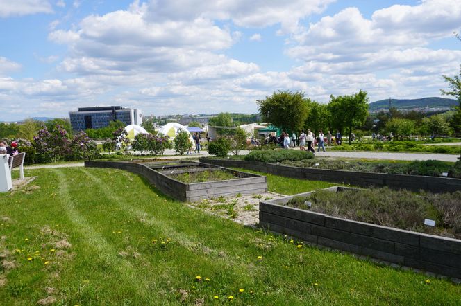 Ogród Botaniczny w Kielcach