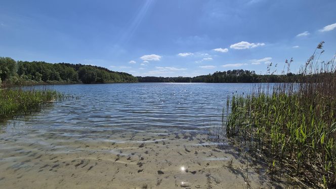 To jezioro w Olsztynie ma niezwykle czystą wodę. Jest kilka dzikich plaż, które świecą pustkami