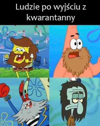 Fryzjerzy na kwarantannie: MEMY. W oczekiwaniu, kiedy otworzą salony fryzjerskie