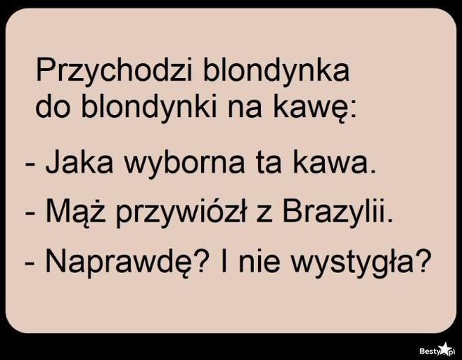 Najlepsze memy o blondynkach