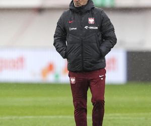 Michał Probierz - stylizacje