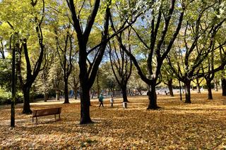 Park Praski mieni się kolorami jesieni. Spacerowicze mają co podziwiać