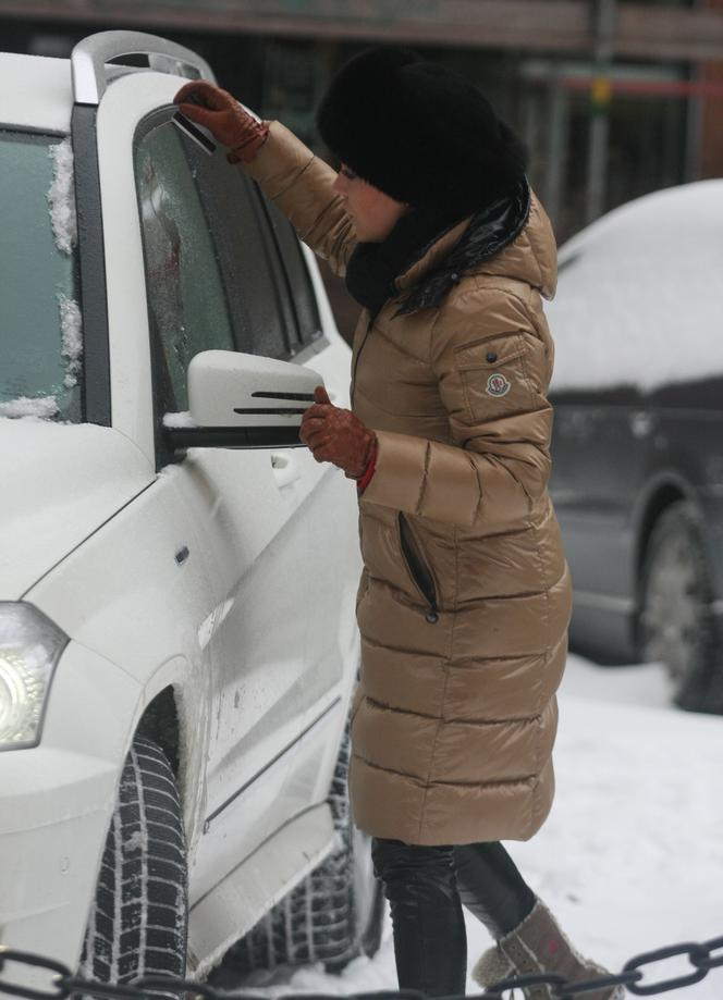 Mucha skrobie szyby kartą kredytową