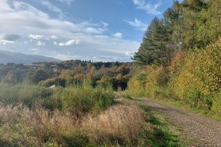 Bieszczady jesienią [GALERIA]