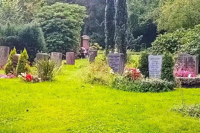 Ohlsdorfer Friedhof w Hamburgu