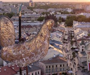 Lublin: 135 tys. zł dla organizacji pozarządowych działających na rzecz osób z niepełnosprawnościami 