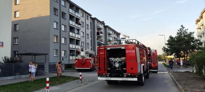 Lubelskie: Pożar kuchni w bloku. Strażacy wynieśli kota z zadymionego mieszkania