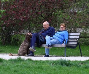 Ilona Łepkowska z mężem i psem na spacerze w Sopocie