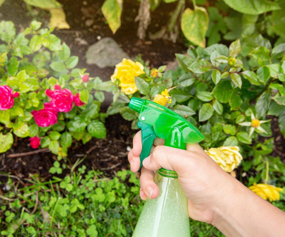 Nowe przepisy o środkach ochrony roślin. Rząd zakaże sprzedaży przez internet?