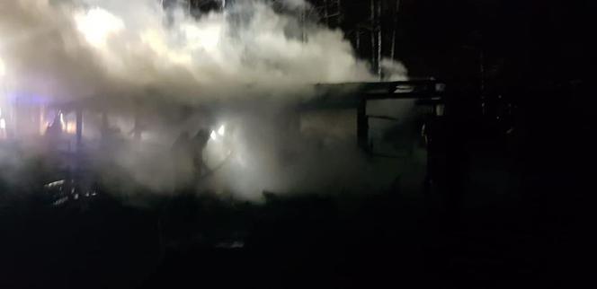 SZOK! Ktoś podpalił zagrodę? Wszystkie zwierzęta spłonęły żywcem