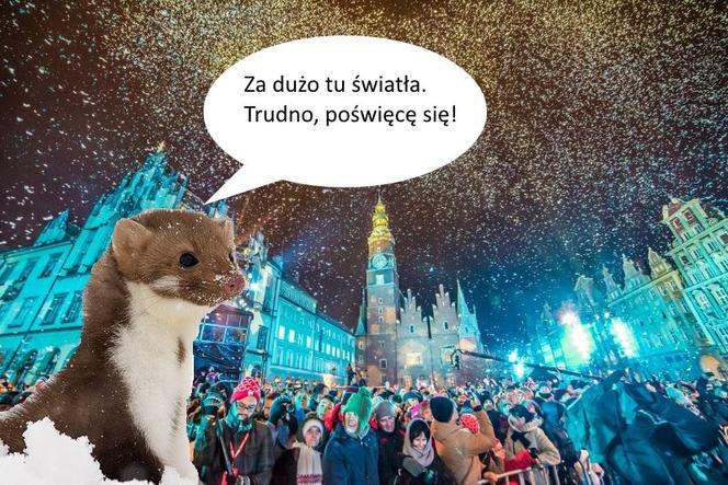 Tribute to Kuna ESK 2016