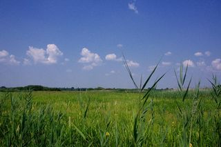 Biebrzański Park Narodowy