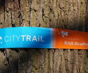 City Trail 2025. Miłośnicy biegania walczyli przy Zalewie Zemborzyckim w Lublinie