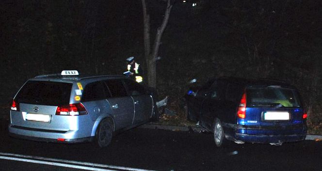 Gdańsk. Wypadek na Powstańców Warszawskich. Nietrzeźwą 19-latkę zatrzymała policja [ZDJĘCIA].