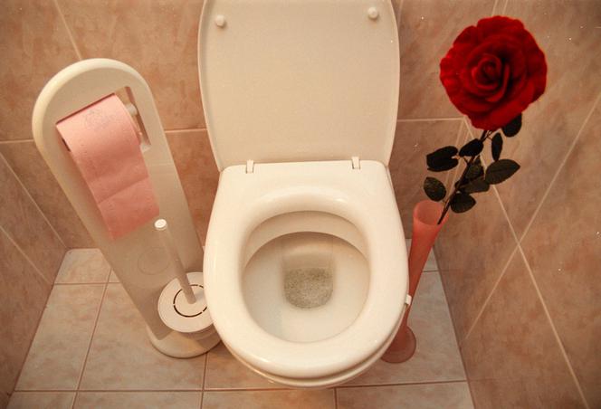 Lepiej przyłożyć deskę sedesową do twarzy nie smartfon. Będzie BEZPIECZNIEJ