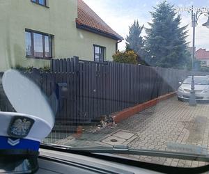 Żory: W stresie wcisnął pedał gazu i wjechał w 3 zaparkowane auta. 80-latek stracił prawo jazdy