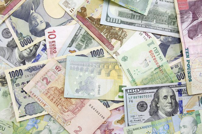 FRANK DOLAR EURO KURS PIENIADZE KREDYT