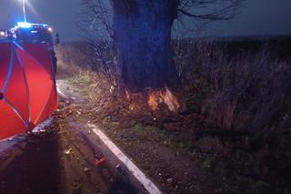 Pomorskie. Tragiczny wypadek koło wsi Zdrada [29.11.2022]
