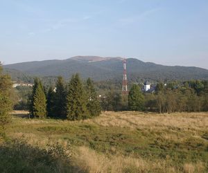 Ustrzyki Górne - tę wieś na Podkarpaciu odziedziczyła bezdzietna wdowa. W XVII wieku miejscowość zdziesiątkowało „morowe powietrze”