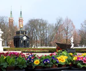 To najbardziej zadłużone miasta w Polsce. Białystok największym wygranym sytuacji?