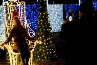 Ogrody Światła 2023