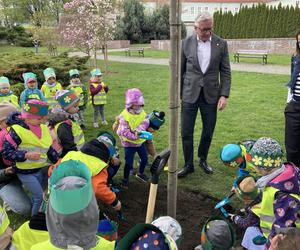 Prezydent Poznania sadzi drzewo