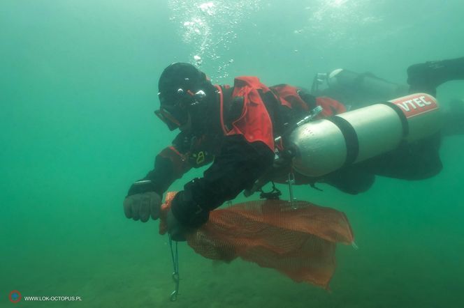 jezioro Tarnobrzeskie Niezwykła akcja płetwonurków