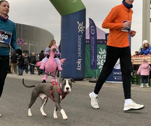 Wystartował sosnowiecki bieg Policz się z cukrzycą