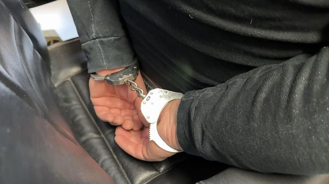 Boss gangu złodziei japońskich aut wpadł w "dziupli". Grupa działała na terenie Warszawy