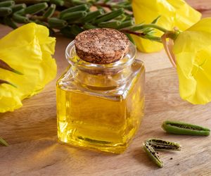 Olej z wiesiołka: bogaty skład, właściwości lecznicze, zastosowanie 