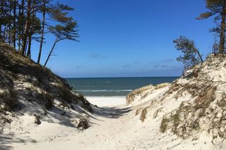 Zapomnij o zatłoczonym Trójmieście! Ta mała miejscowość na Pomorzu to hit wśród turystów