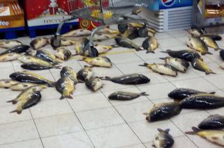 Afera w supermarkecie. Kilkadziesiąt karpi leżało na podłodze